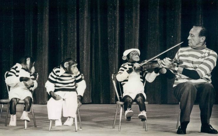 Jack Benny preforms with the Marquis Chimps. Image by CBS Television. United States, 1963.